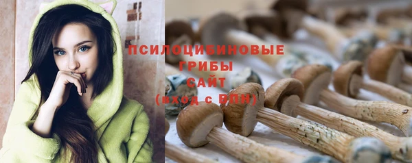 гашик Лиски