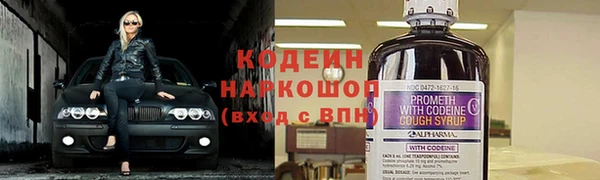 гашик Лиски