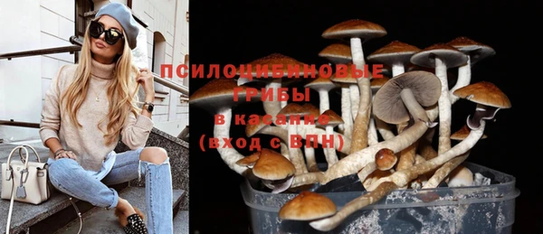 гашик Лиски